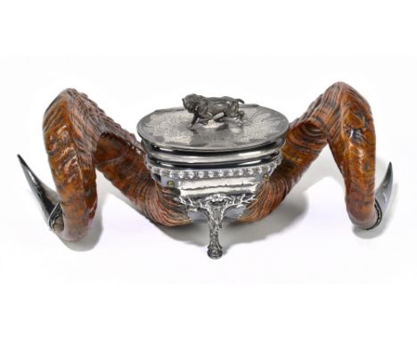 A late Victorian table snuff mull with silver plated mounts, modelled as two ram's horns with central silver plated body and 