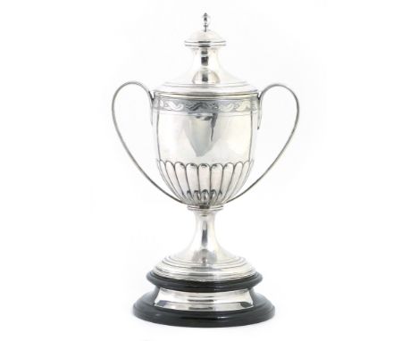 George III silver twin handled pedestal cup and cover, by Thomas Watson, Newcastle 1808, having an urn finial over a waisted 