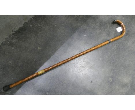 Knobbly walking stick with silver collar 