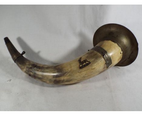 A cow horn from regimental bugle of the 12th Nelson Infantry with white metal mounts, 30 cm (approx length) - Est £30 - £50