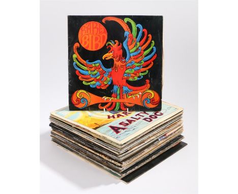 Collection of 28 Psychedelic/Folk/Rock LPs to include, Rare Bird - s/t, Charisma CAS 1005 stereo. Atomic Rooster - st, B&amp;