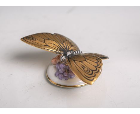   Goldfarbener Schmetterling aus Porzellan von Rosenthal (grüne Unterbodenmarke, Pressnummer  "95 R", wohl 19./20. Jahrhunder