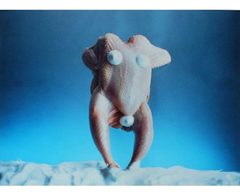 Carina WeidleEverest (1995)RA4 colour print, aluminium mountedTo be sold without reserveProperty of a distinguished British c