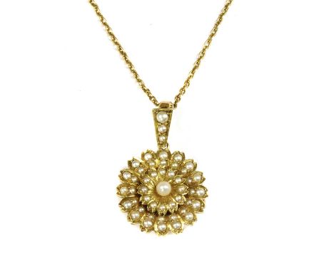 An Edwardian gold split pearl brooch/pendant, graduating split pearls grain set to the flower head pendant, with pin, safety 