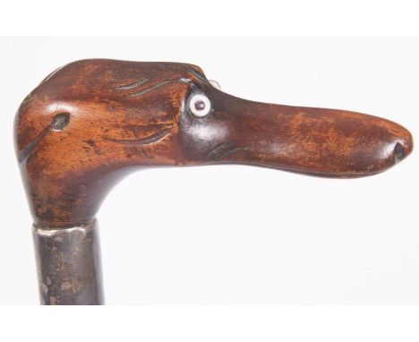 A walking stick carved with a dogs head handle, set with glass eyes and having a silver collar, hallmarked for London 1884