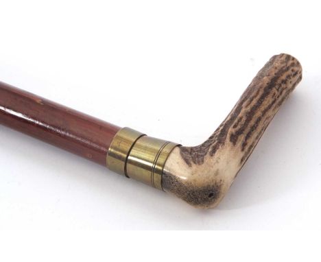 A horn handled walking stick, the pull off handle reveals a barrel holding a corkscrew (a/f)