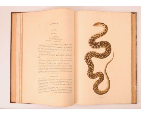 RUSSELL, Patrick: TWO WORKS/VOLUMES: 1- An account of Indian serpents, collected on the coast of Coromandel. George Nicol, 17