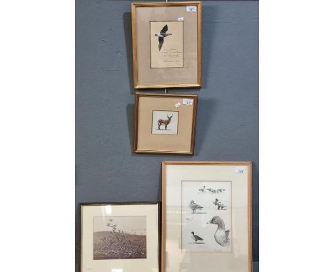 Sir Peter Scott,(1909-1989) study of goose in flight, with dedication.  Signed and dated1973, watercolours.  17x13cm approx. 