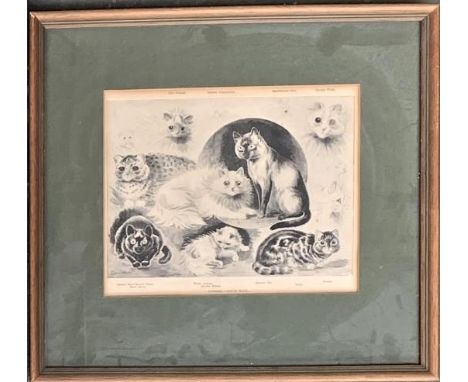A framed print after Louis Wain, 'Pussies' 