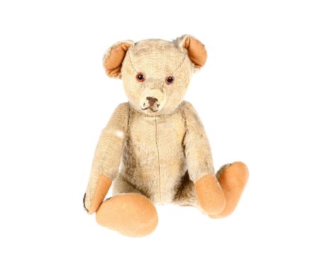 Steiff? Teddy, holzwollegestopft, mit Glasaugen und genähten Tatzen, Fellverlust, H 30, Z 3
