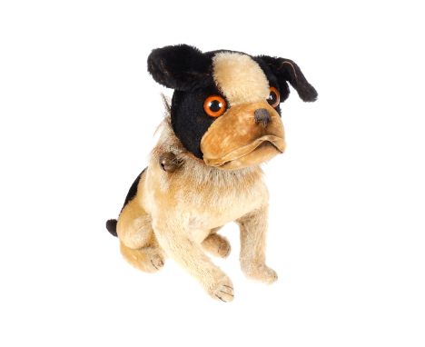 Steiff franz. Bulldogge, 20er Jahre, schwarz/creme, mit Knopf, Halsband (besetzt mit Steiff-Knöpfen) mit Glocke, Glasaugen un