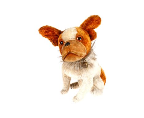Große Steiff franz. Bulldogge, 20er Jahre, hellbraun/creme, mit Halsband (besetzt mit Steiff-Knöpfen) mit Glocke, Glasaugen u