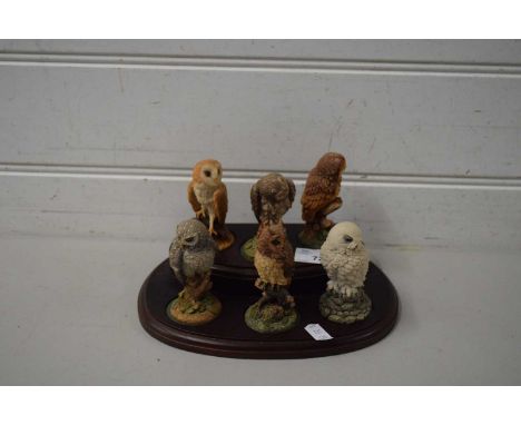 COLLECTION OF ROYAL DOULTON RESIN MODEL OWLS