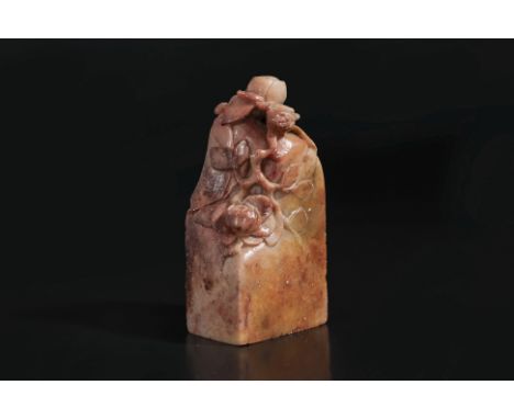 A CARVED SOAPSTONE SEAL WITH FRUITING BRANCHES
Rectangular section, the sloping top carved with a trailing fruiting branch, s