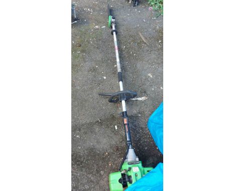 A Florabest long reach petrol chainsaw
