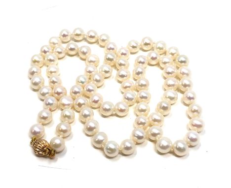 18ct gold clasp single strand pearl necklace (21.5g) 