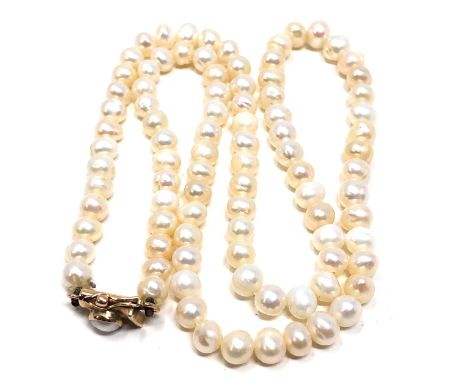 9ct gold clasp single strand pearl necklace (20g) 