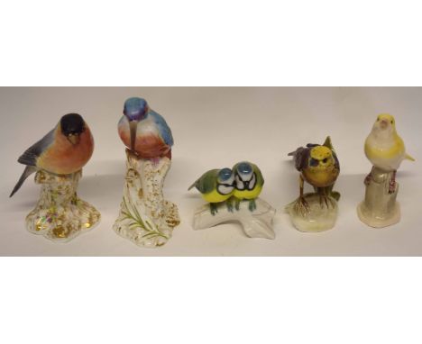 Quantity of porcelain bird studies including a Royal Worcester model of a woodpecker and a Royal Worcester model of a robin o