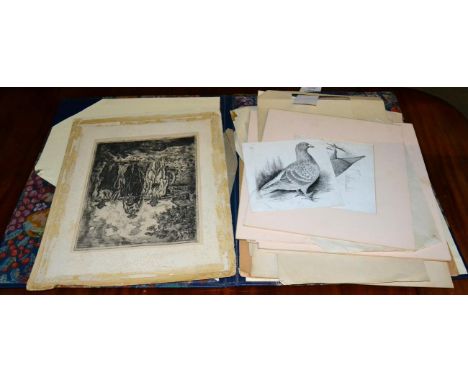 A folio of assorted engravings and etchings including selection of pencil signed drypoint etching by Percy Smith (182-1942), 