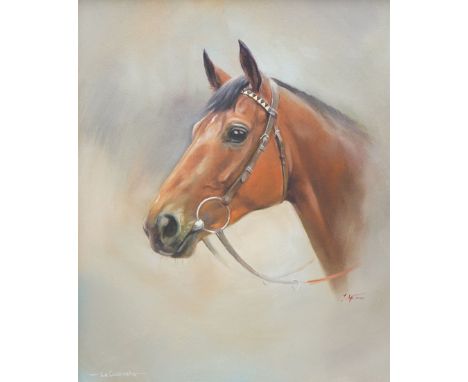 Jacqueline Stanhope (Scottish 1963-): A Head Portrait of 'La Cucaracha' a Bay Racehorse, oil on canvas signed 30cm x 24cm, to
