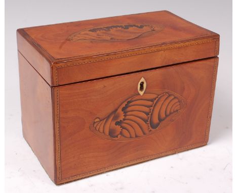 A Sheraton period satinwood fitted tea caddy, having specimen marquetry crossbanding, the hinged cover and front both marquet