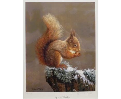 Robert E Fuller (British 1972-): 'Squirrel Nutkin',  limited edition colour print signed and numbered 580/850 in pencil 38.5c