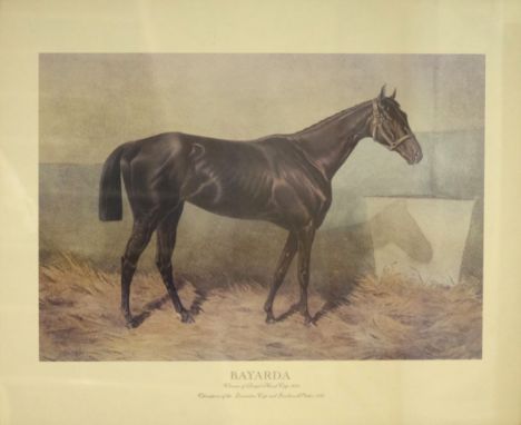 'Bayarda - Winner of the Royal Hunt Cup 1885 - Champion of the Doncaster Cup and Goodwood Stakes 1888', colour print 49cm x 6