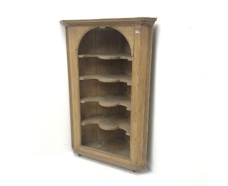 Georgian pine corner shelf, projecting cornice with dentil frieze, arched aperture with four shaped shelves, W100cm, H150cm, 