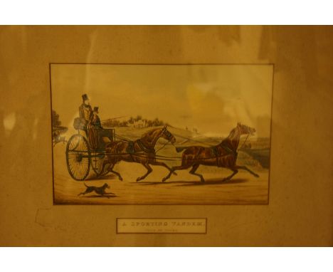 A set of fourteen 19th century coaching prints, each titled and including "Hunting Phaeton," "A Sporting Tandem," and "Someth