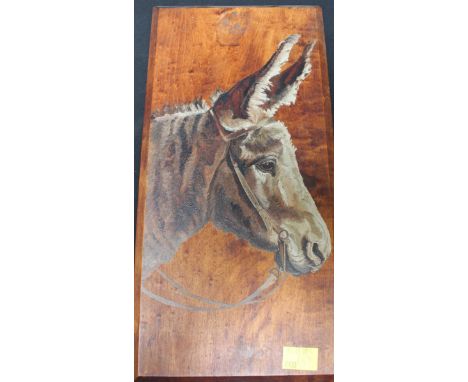Early 20th century Spanish School, portrait of a Donkey in relief, oil on panel, unsigned. 40.5 x 19.5 cm.