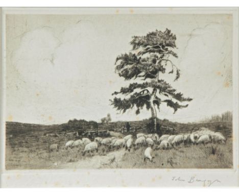 John Brangwyn (20th century) A flock of sheep beneath a tree etching, signed in pencil 15 x 22 cm (6 x 8 1/2 in) together wit
