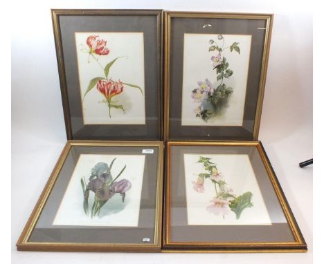 A set of seven Flora Britannica prints of garden flowers, 30 x 21.5cm 