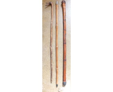 A silver topped walking cane, a walking stick with bird head handle and a Chinese walking cane 