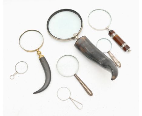 A collection of seven handheld magnifying glasses, including a giant horn handled example, 42cm long.