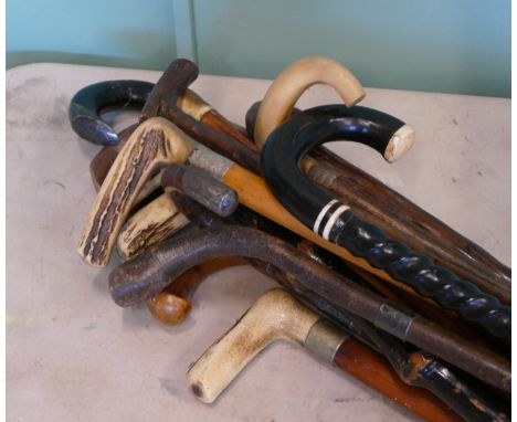 A selection of early to mid 20th century walking sticks, to include various examples having horn and antler topped handles.