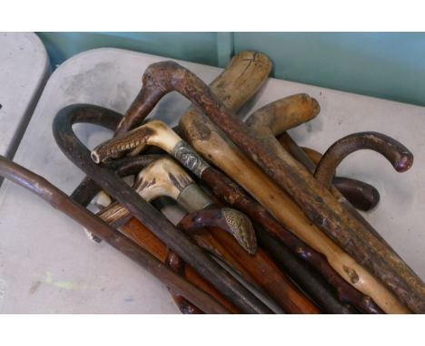 A selection of early to mid 20th century walking sticks, to include various examples in palm wood, bamboo, having horn, antle