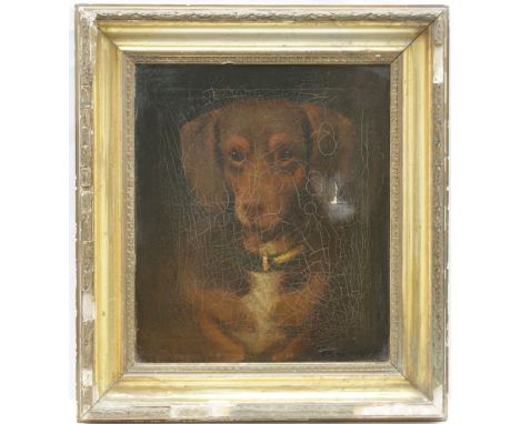 Thomas Hills (active late 19th Century) Portrait of a Dachshund, indistinctly signed, oil on canvas, 34cm x 30cm