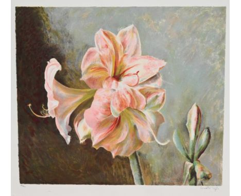 Henrietta Wyeth (American, 1907-1997) "Pink Amaryllis" Pencil signed and numbered (113/300) lower margin. Color Lithograph Im