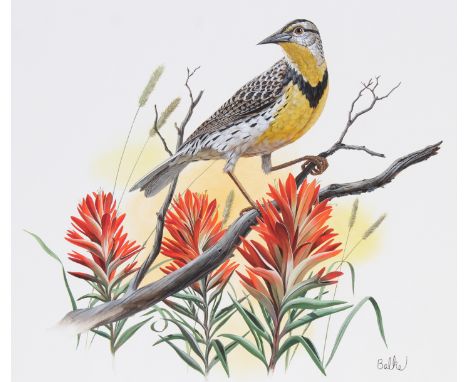 Don Balke (North Carolina, B. 1933) "Western Meadowlark and Indian Paintbrush" Signed lower right. Original Watercolor on Ill