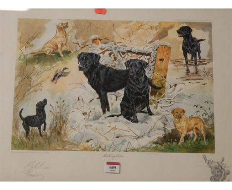 Gillian Harris - Anticipation, limited edition print, No.316/850, signed in pencil to the margin, 29 x 43cm