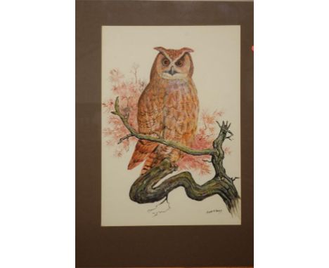 Peter R Holmes - Owl upon a branch, watercolour, signed lower right; and one other by the artist, both 48 x 34cm (2) 
