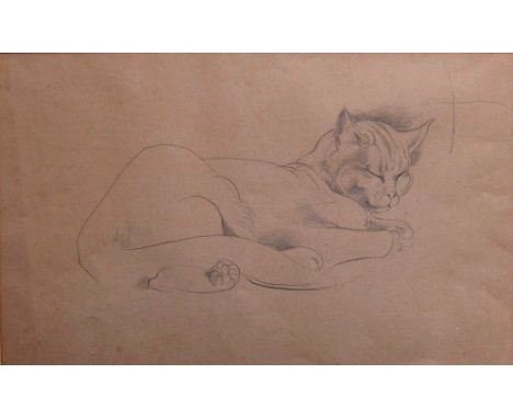 MICHAEL AYRTON [1921-75]. Cat Asleep, c.1953. Pencil on light brown paper. 32 x 51 cm [with mount and original backboard, but