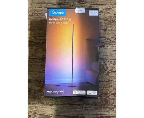 A boxed Govee floor lamp (untested) a/f 