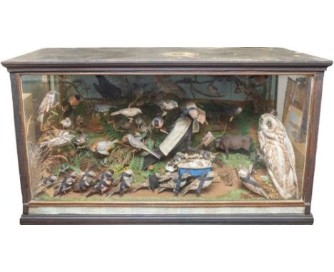 Taxidermy Interest: a Victorian cased diorama of taxidermy birds, shown in parade for the "Who Killed Cock Robin" parody (fir