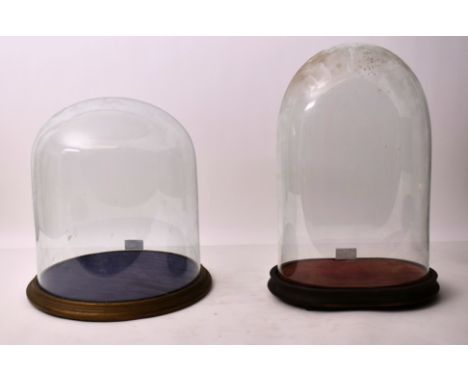 A 19th century Victorian glass taxidermy / clock dome of cylinder form complete with the wooden ebonised plinth base. Togethe