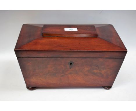 A large George IV mahogany sarcophagus tea caddy, c.1825