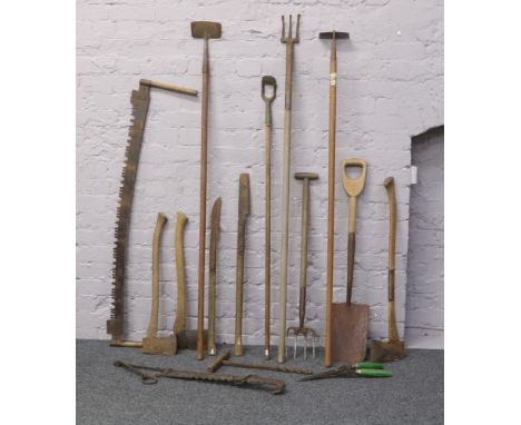 A quantity of hand tools including hatchets, cross cut saw, garden fork hoes etc.