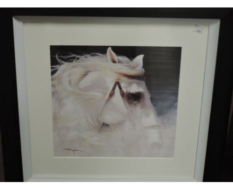 Taylor, (contemporary), after, a print, white horse's head, 31 x 31cm, mounted black framed and glazed, 57 x 57cm