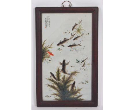 In the manner of Deng Bishan (Chinese 1874-1930) - A framed porcelain 'fish' plaque, decorated with eight fish swimming among