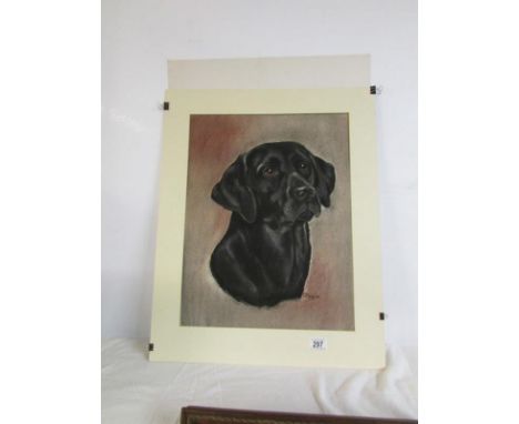 A pastel portrait of a black Labrador signed C J Mumby, '83